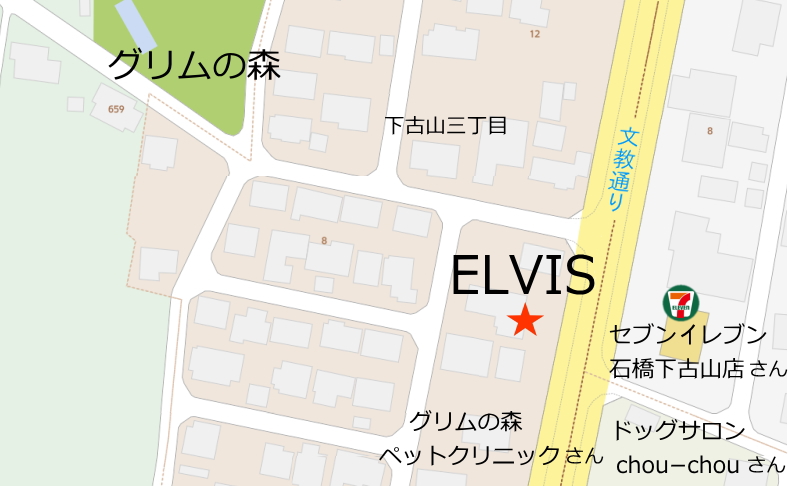 elvis n}